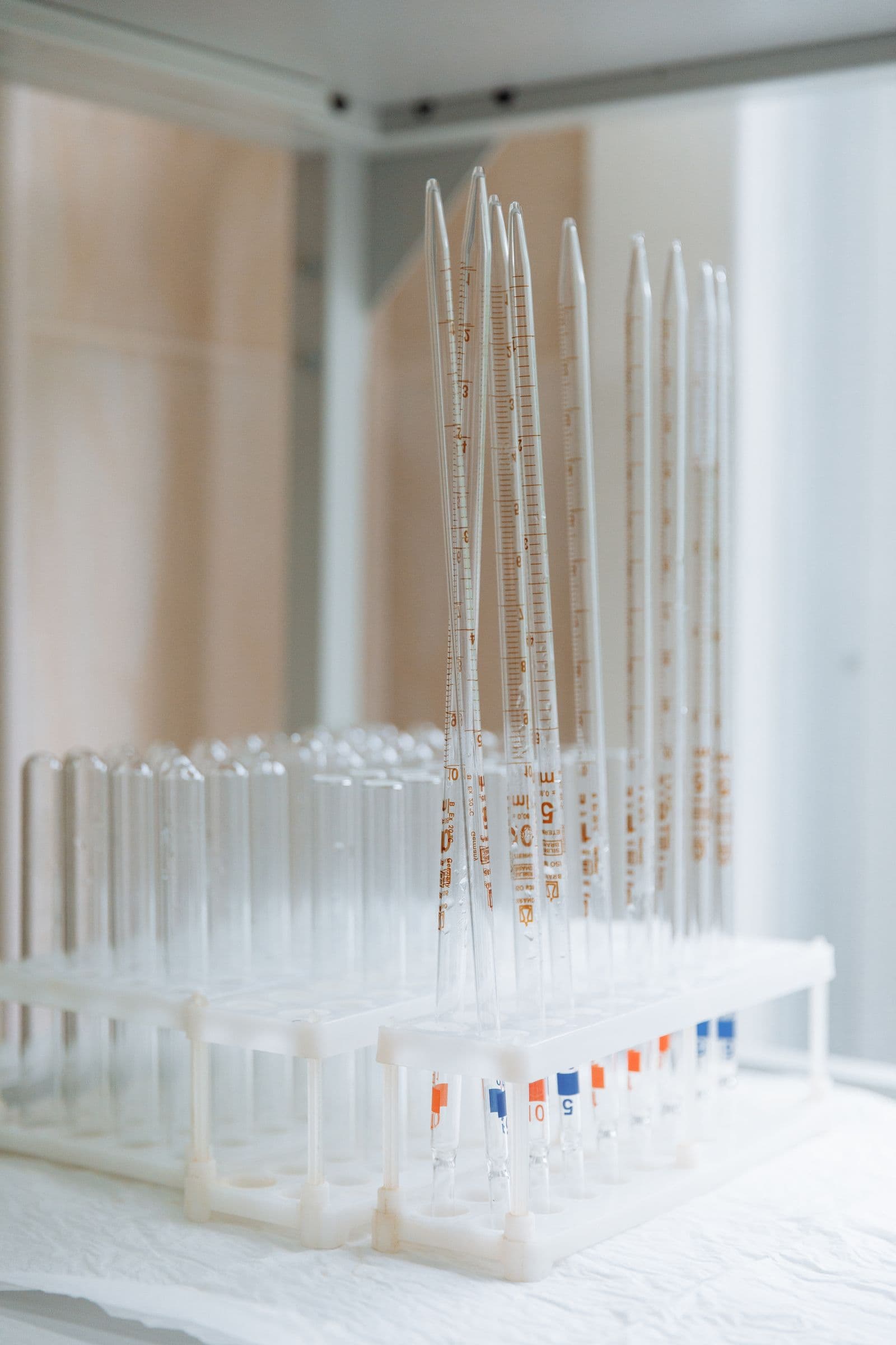 Des tubes de laboratoire alignés sur un portoir